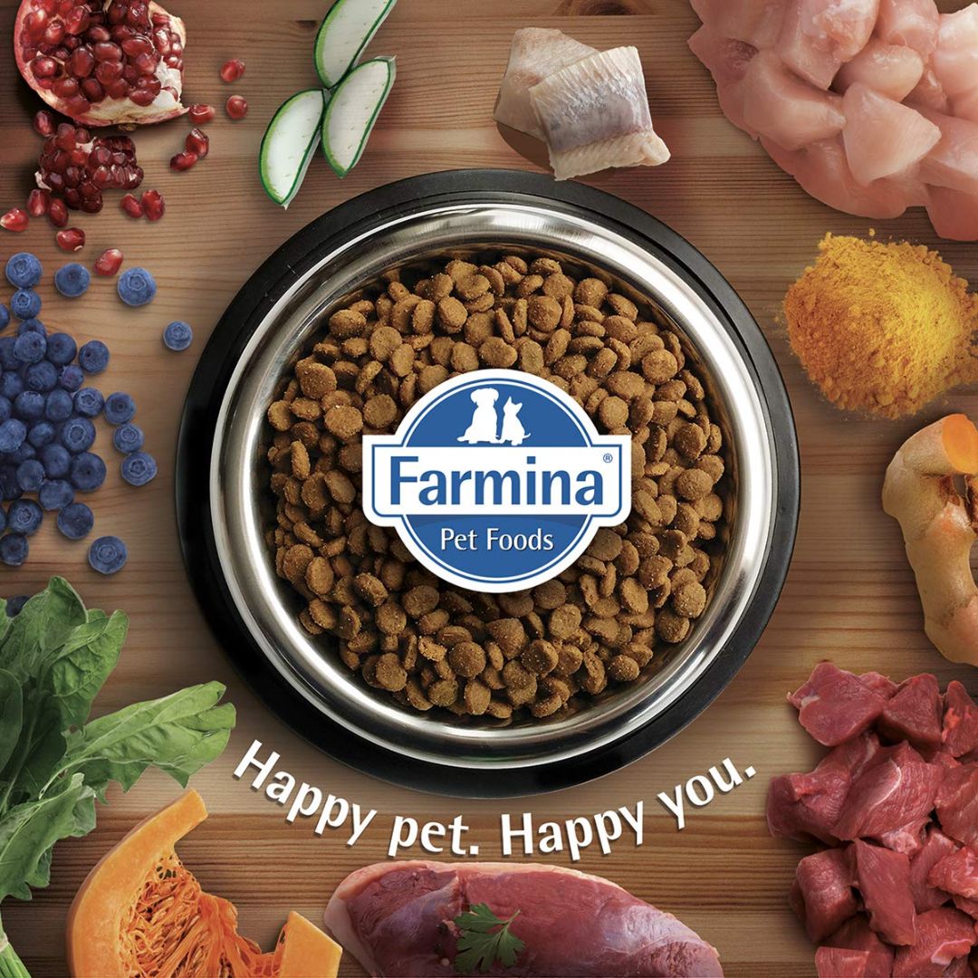 Farmina N&D Pumpkin Lamb & Blueberry Grain Free Medium & Maxi Breed Dry Puppy Food