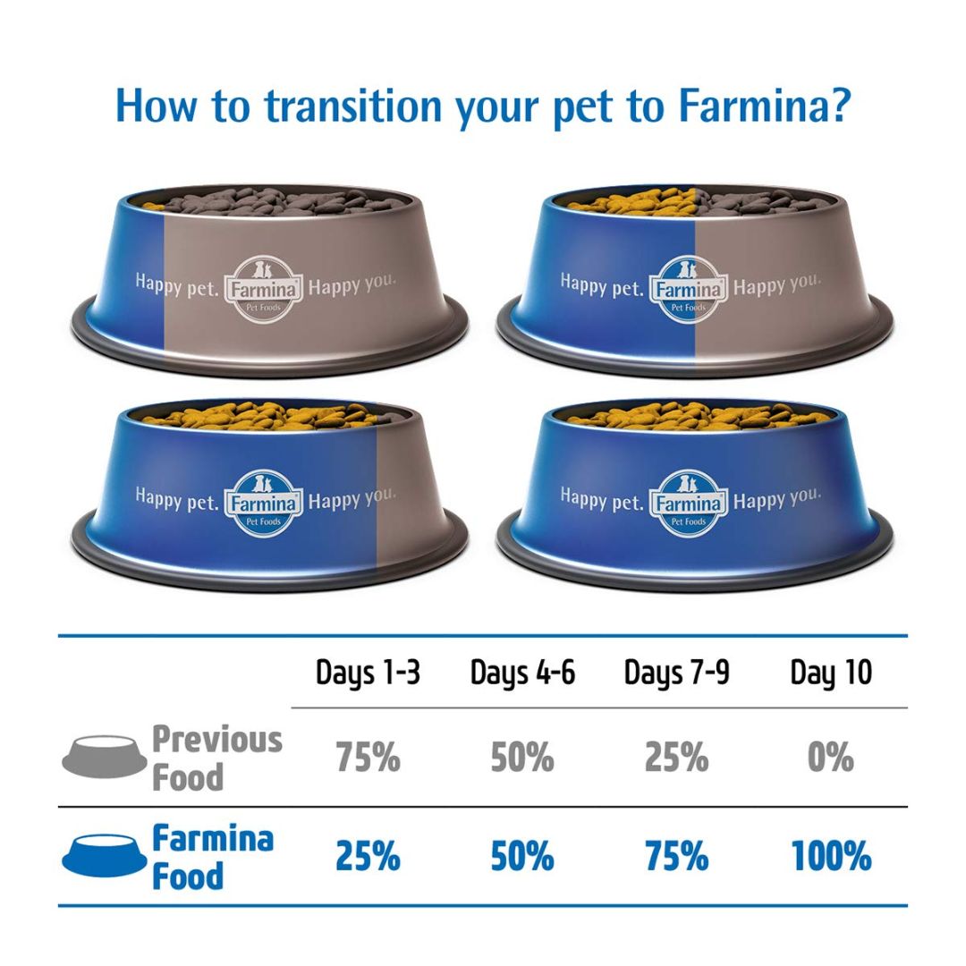 Farmina N&D Pumpkin Lamb & Blueberry Grain Free Medium & Maxi Breed Adult Dry Dog Food