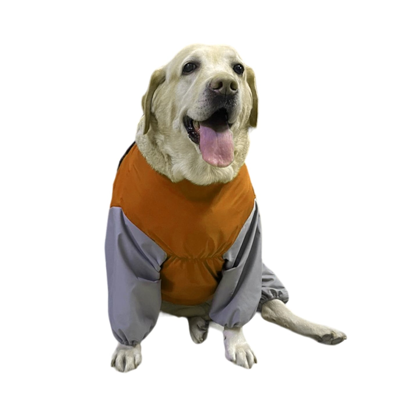 Furrfab Raincoat for Dogs-Windproof and Waterproof