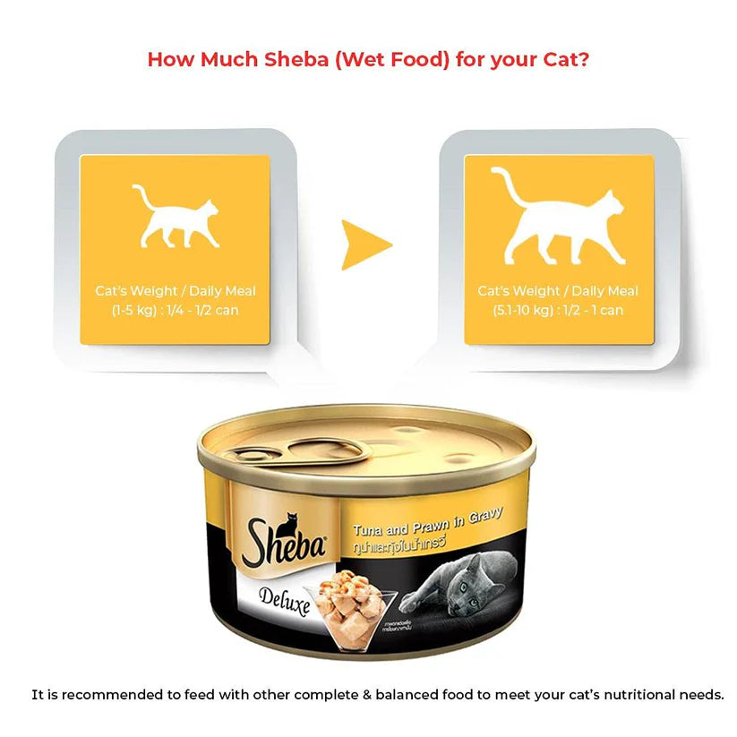 Sheba Tuna Fillets and Whole Prawns in Gravy Adult Wet Cat Food (85 g) packs