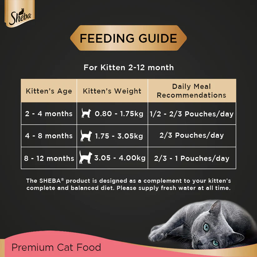 Sheba Rich Chicken Premium Loaf Wet Kitten Food Box (1.68 kg)