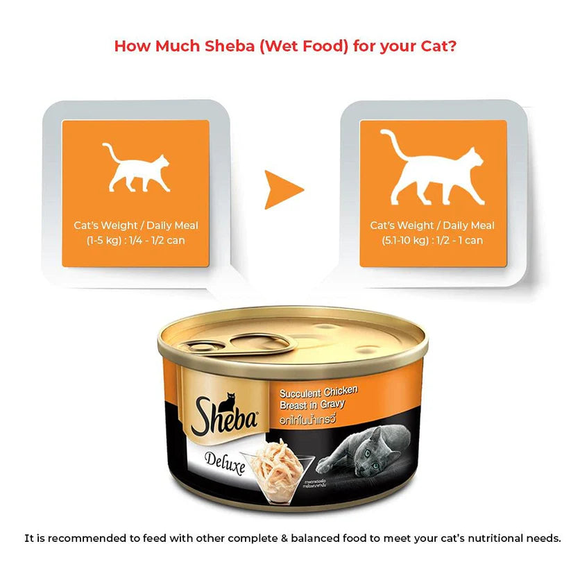 Sheba Succulent Chicken Breast in Gravy Adult Wet Cat Food (85 g) packs