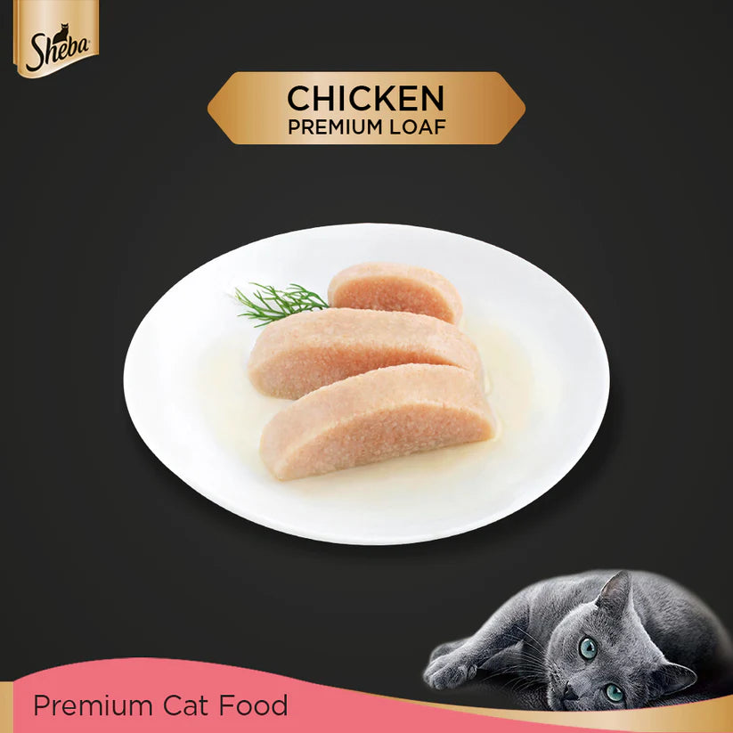 Sheba Rich Chicken Premium Loaf Wet Kitten Food Box (1.68 kg)