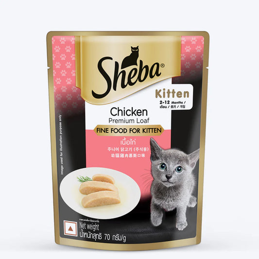 Sheba Chicken Premium Loaf Wet Kitten Food (70 g) packs