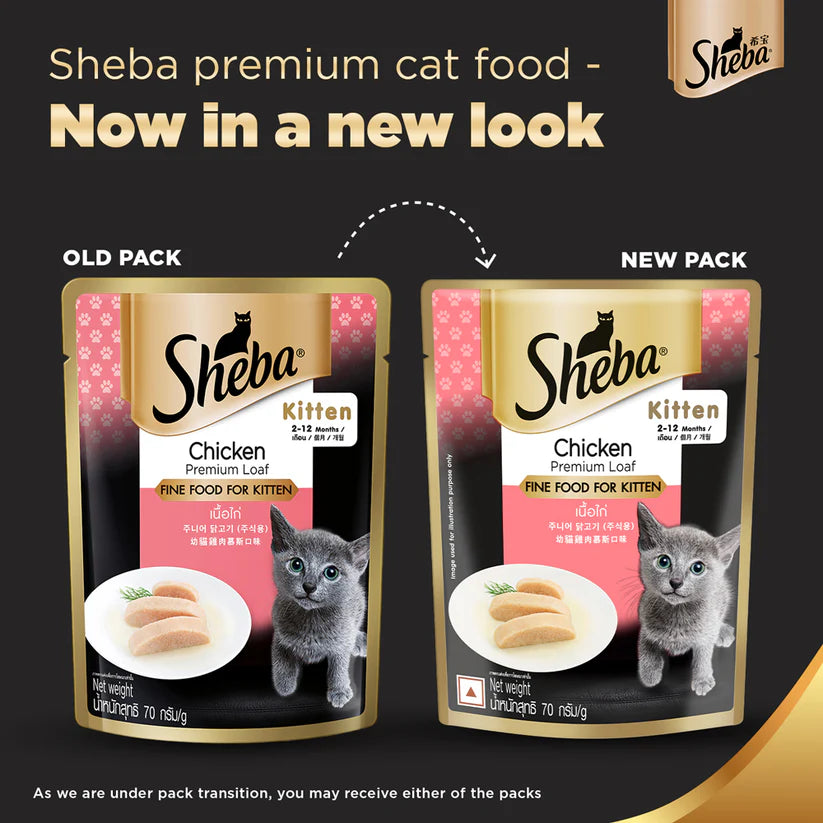 Sheba Chicken Premium Loaf Wet Kitten Food (70 g) packs