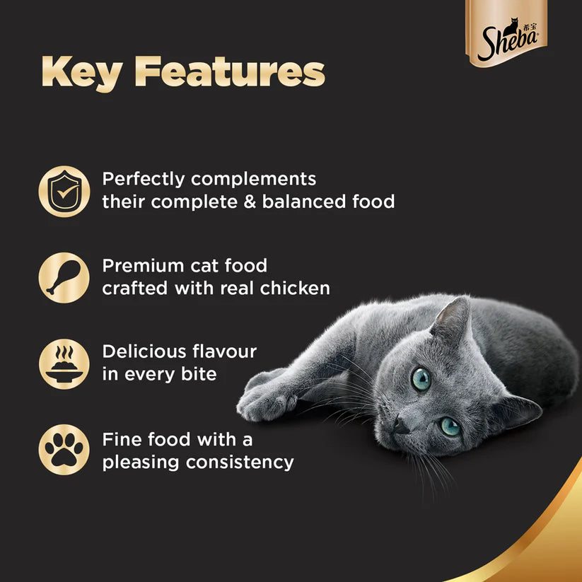 Sheba Chicken Premium Loaf Wet Kitten Food (70 g) packs