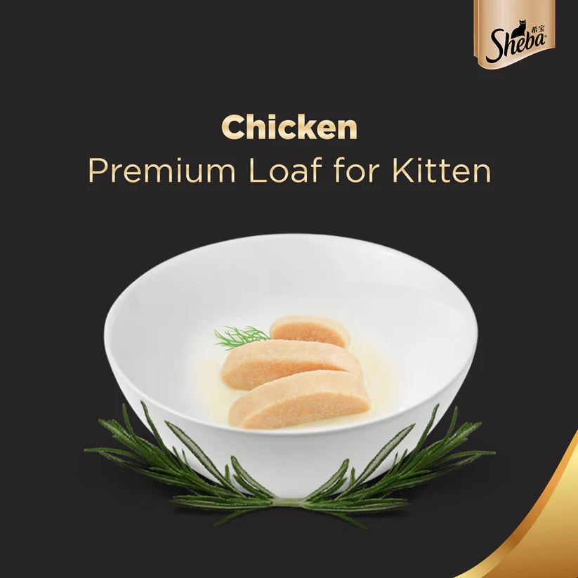 Sheba Chicken Premium Loaf Wet Kitten Food (70 g) packs