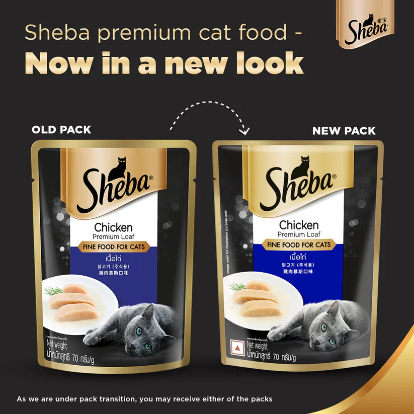 Sheba Rich Chicken Premium Loaf Adult Wet Cat Food (70 g) Packs