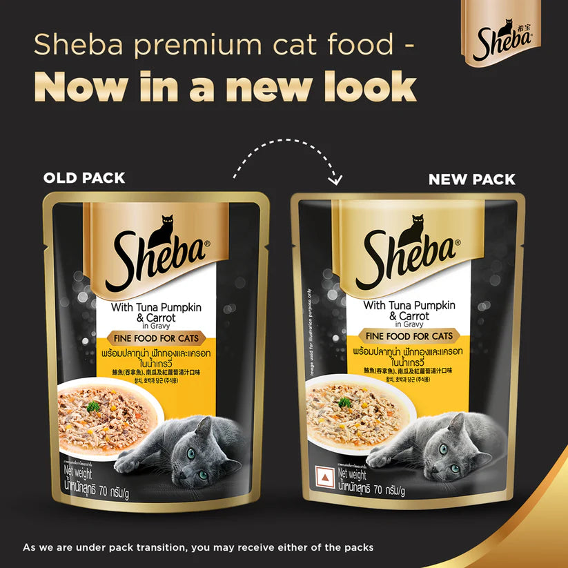 Sheba Rich Premium Tuna Pumpkin & Carrot In Gravy Adult Wet Cat Food (70 g) Packs