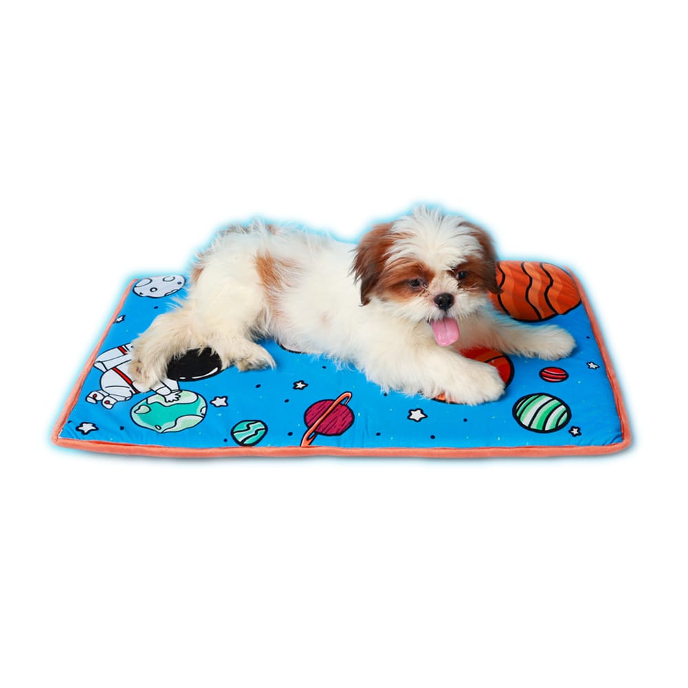 Furrfab Astro Doggy Blue Pet Mat