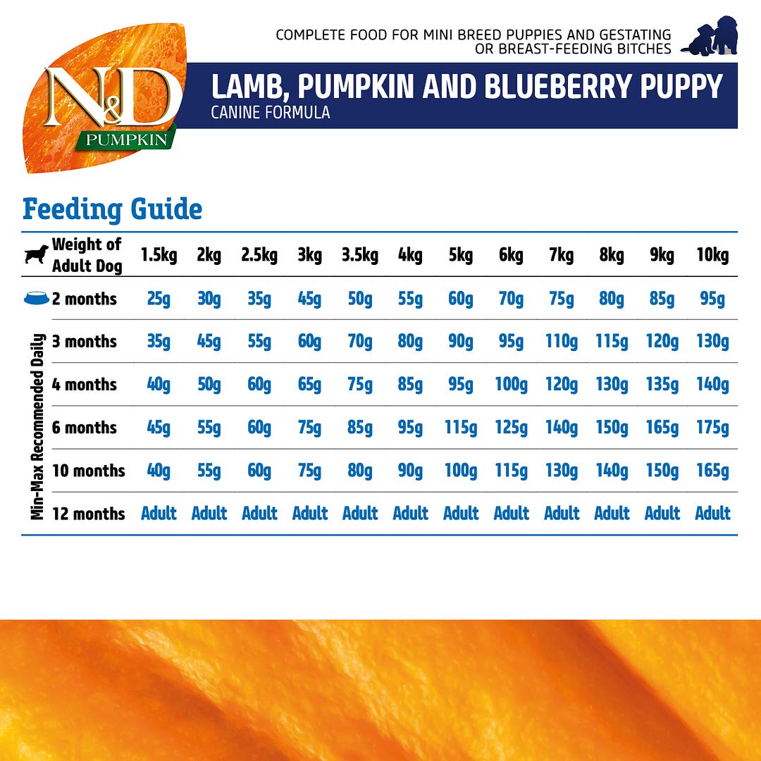 Farmina N&D Pumpkin Lamb & Blueberry Grain-Free Mini Breed Adult Dog Food