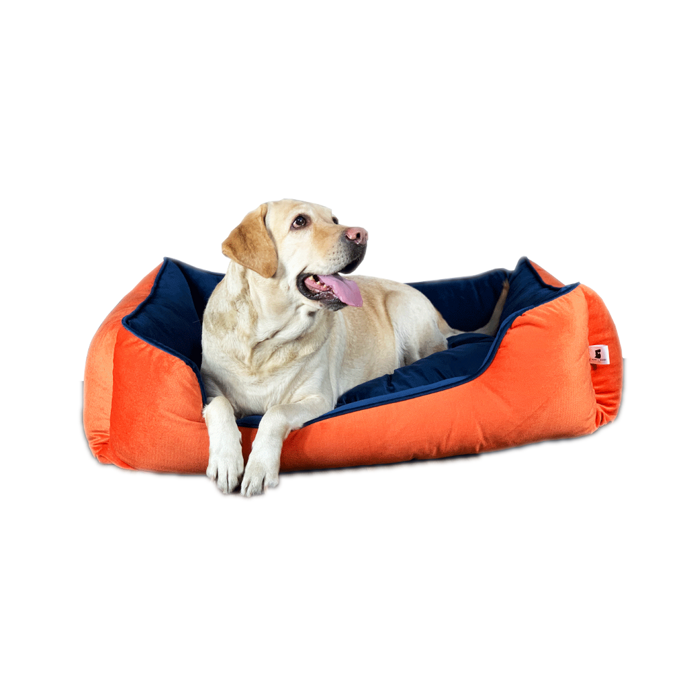 Furrfab Dog Bed