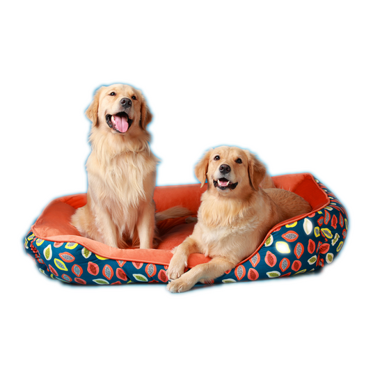 Furrfab Papaya Print Dog Bed