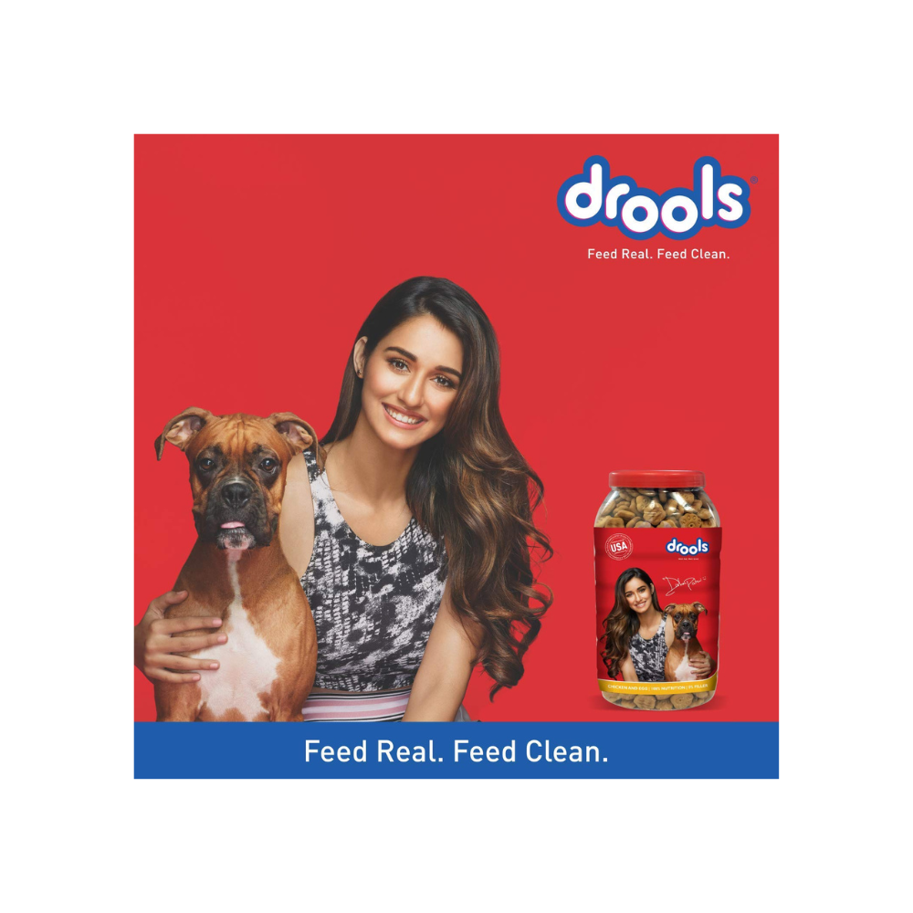 Drools Chicken and Egg Biscuit, Dog Treats Jar (900 g)