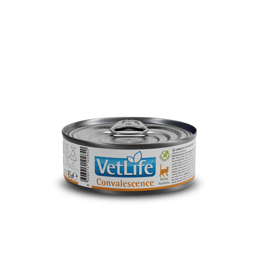 VETLIFE CAT CONVALESCENCE WET FOOD (85gm)