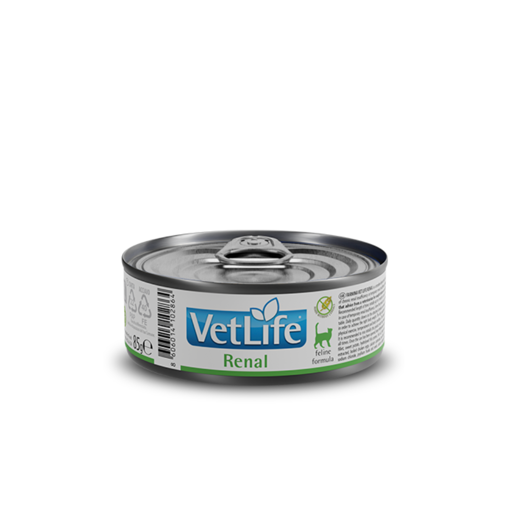 VETLIFE RENAL CAT WET FOOD (85gm)