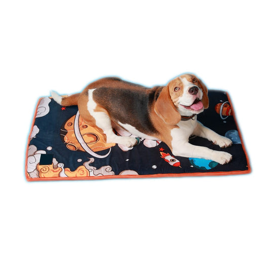 Furrfab Astro Doggy Black Pet Mat