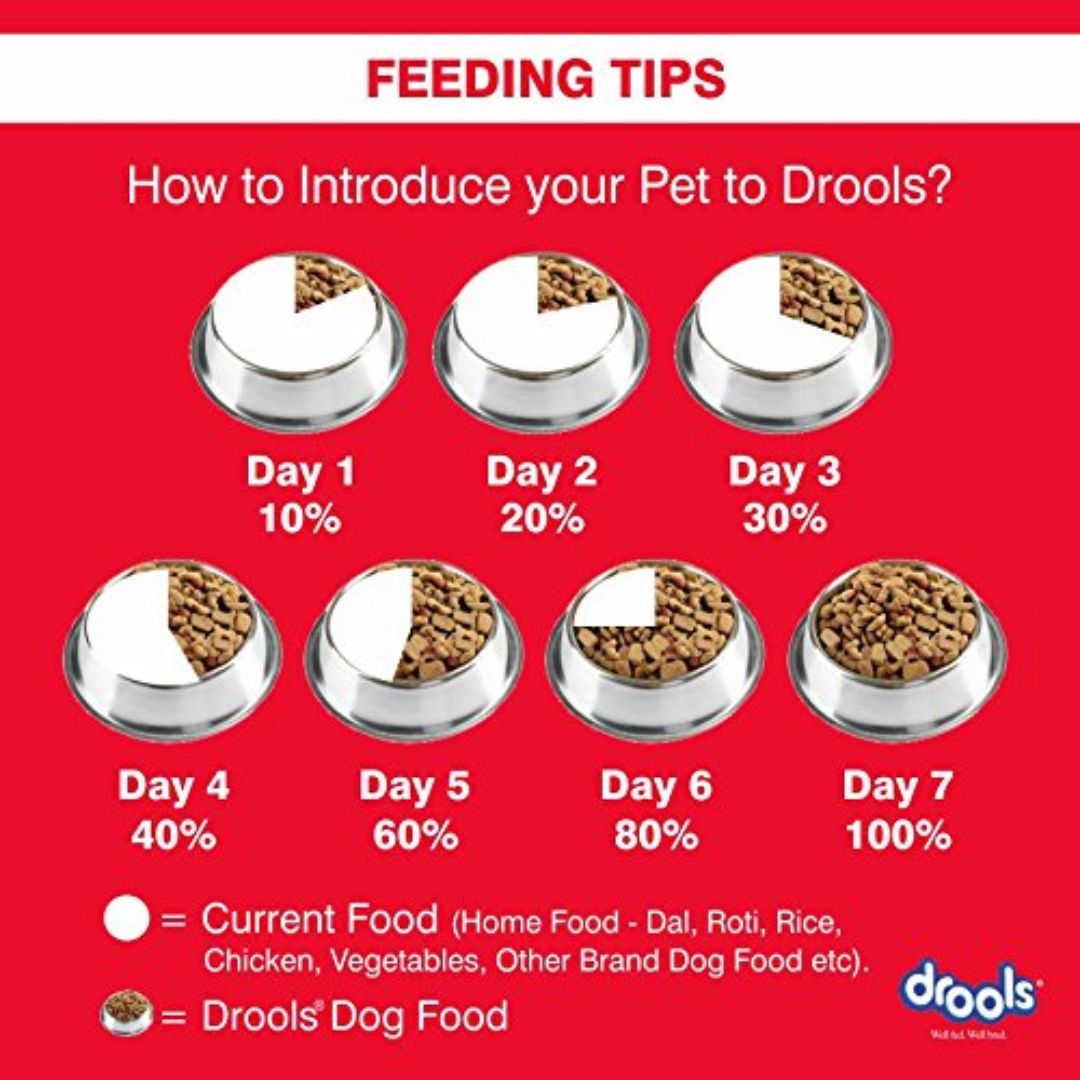 Drools Chicken and Egg Adult Dry Dog Food